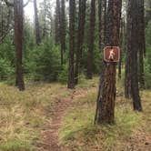 Review photo of Quartz Flat Campground by Crystal C., September 7, 2019