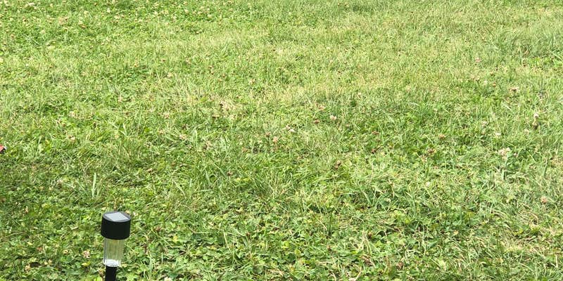 Camper submitted image from Bark River Campground and Resort