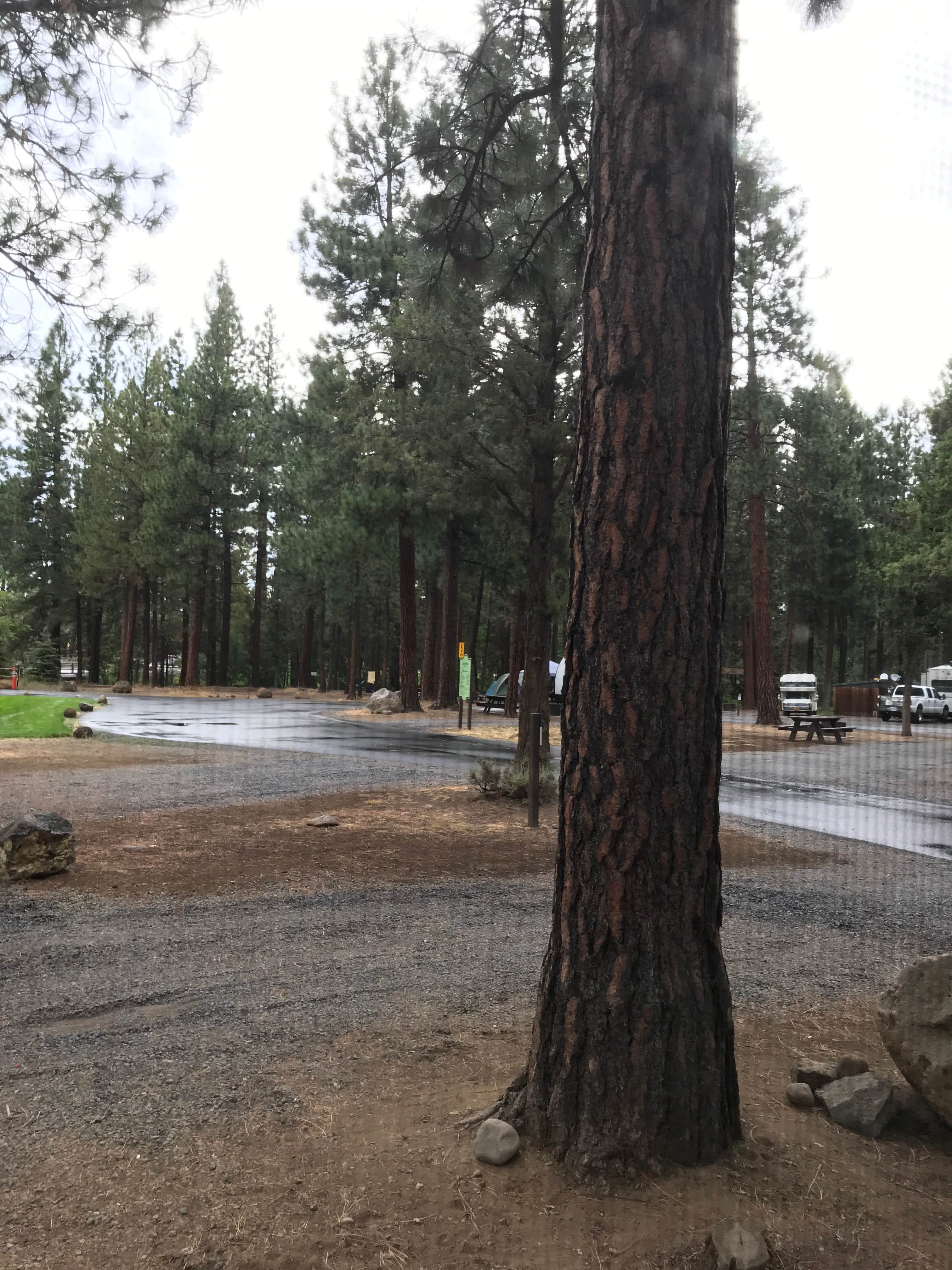 Camper-submitted photo at Creekside Sisters City Park near Redmond, OR