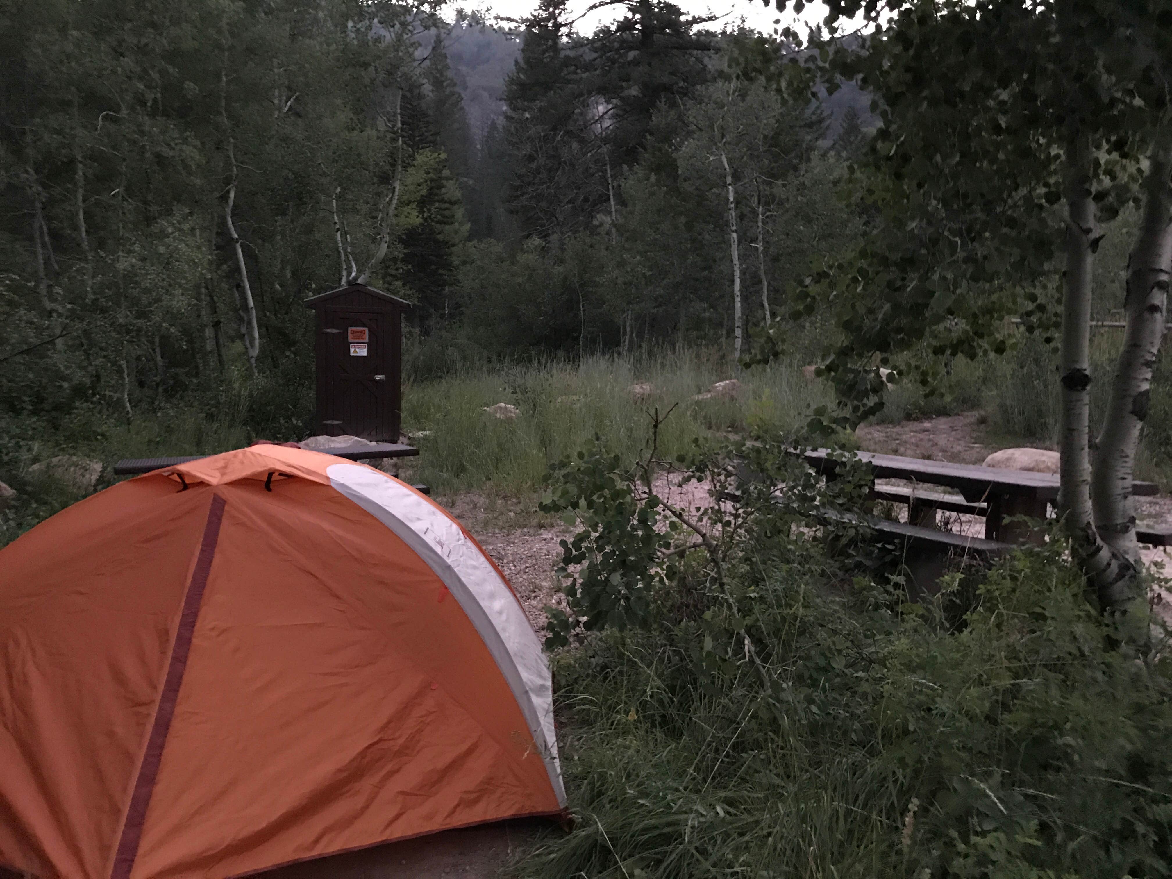 Camper submitted image from Paris Springs Campground - 2