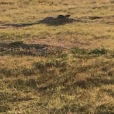 Review photo of Sage Creek Campground by Zachariah M., September 7, 2019