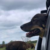 Review photo of Red Fox Campground — Minneopa State Park by Lili R., September 7, 2019