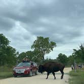 Review photo of Red Fox Campground — Minneopa State Park by Lili R., September 7, 2019