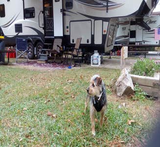 Camper-submitted photo from Oaklawn RV Park