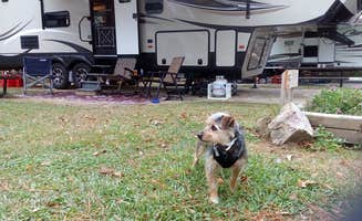 Bob A.'s photo at Keesler AFB FamCamp near Moss Point, MS