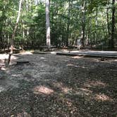 Review photo of Old Stone Fort State Archaeological Park by Lisa P., September 7, 2019