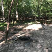 Review photo of Old Stone Fort State Archaeological Park by Lisa P., September 7, 2019