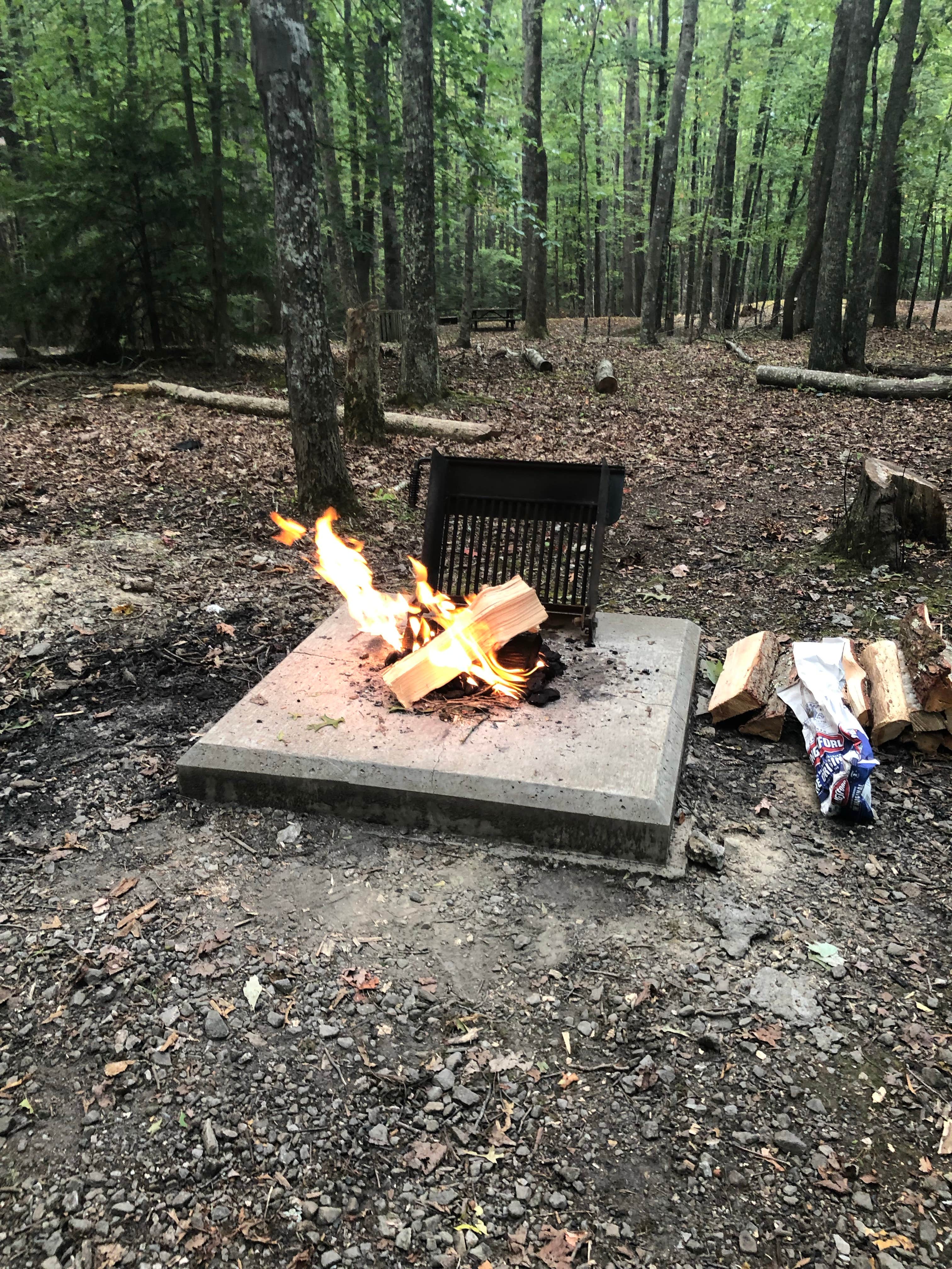 Camper submitted image from Twin Falls Resort State Park Campground - 2