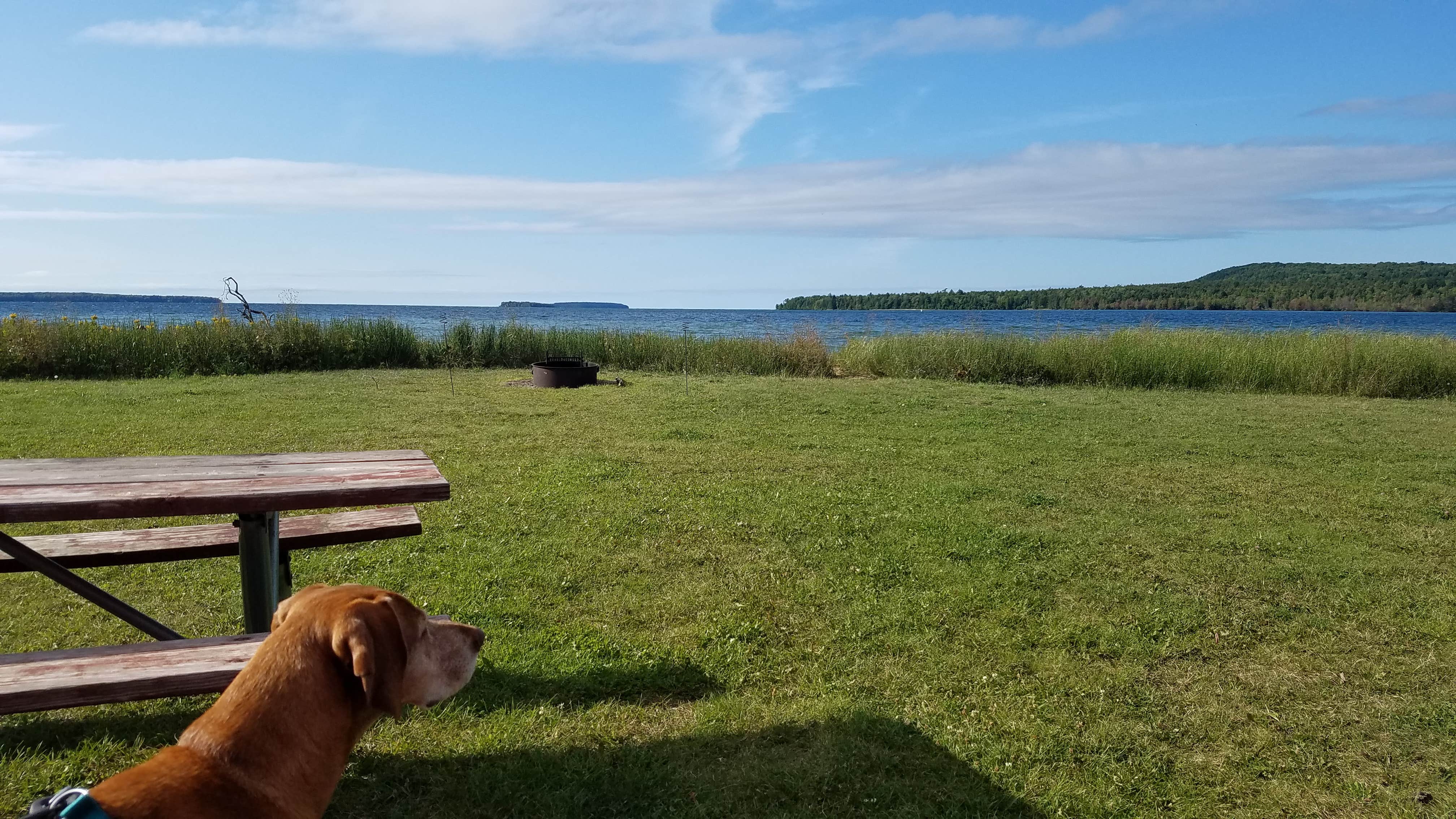 Gary T.'s photo of camping with pets at Munising Tourist Park Campground near Manistique, MI