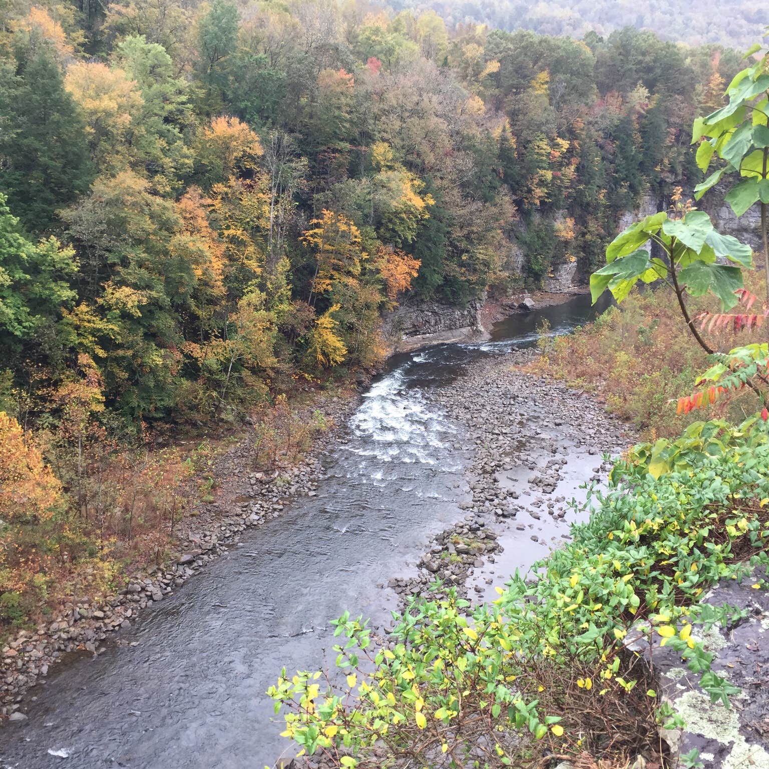 Breaks Interstate Park Camping The Dyrt