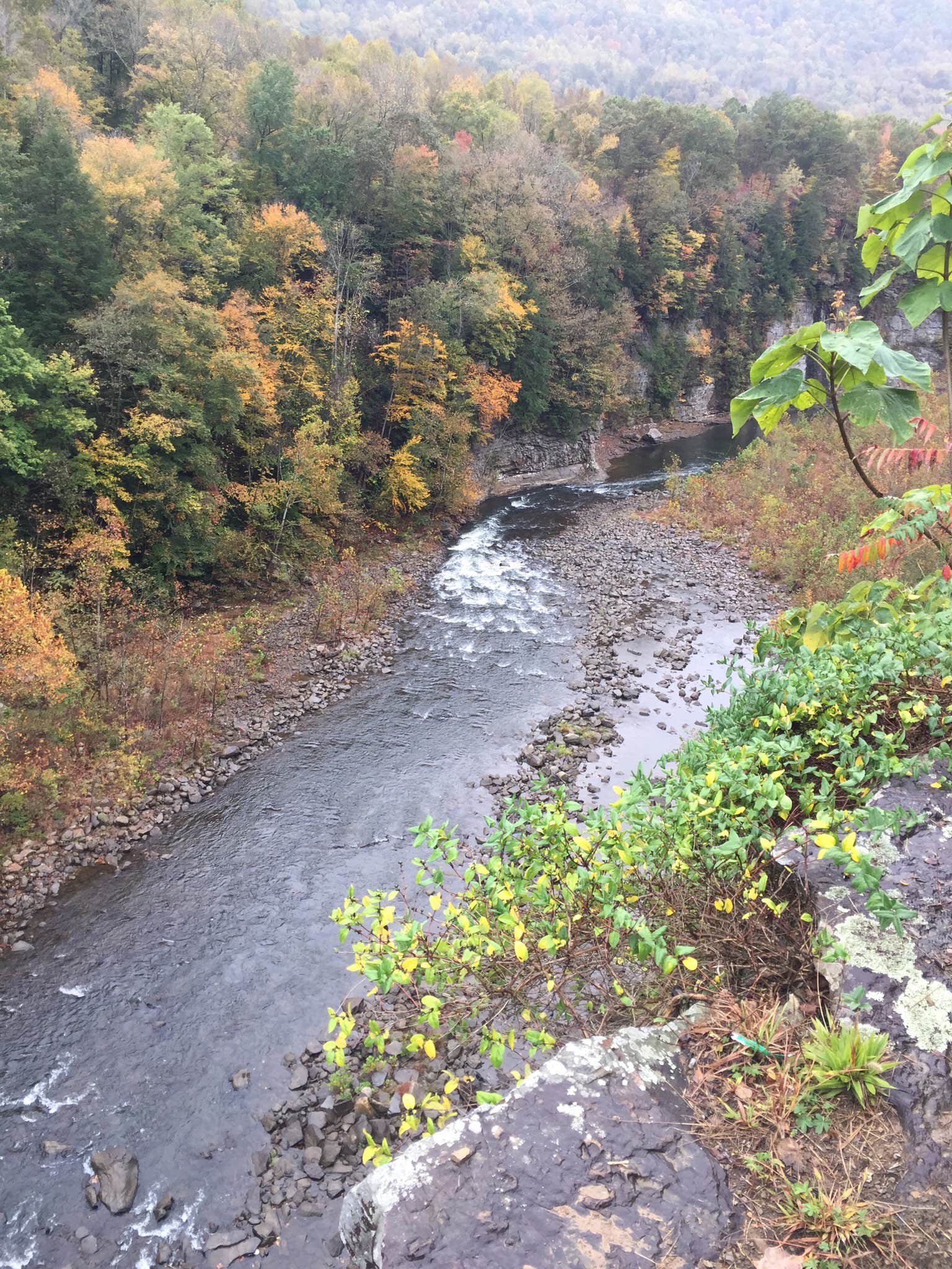 Camper submitted image from Breaks Interstate Park Campground - 4