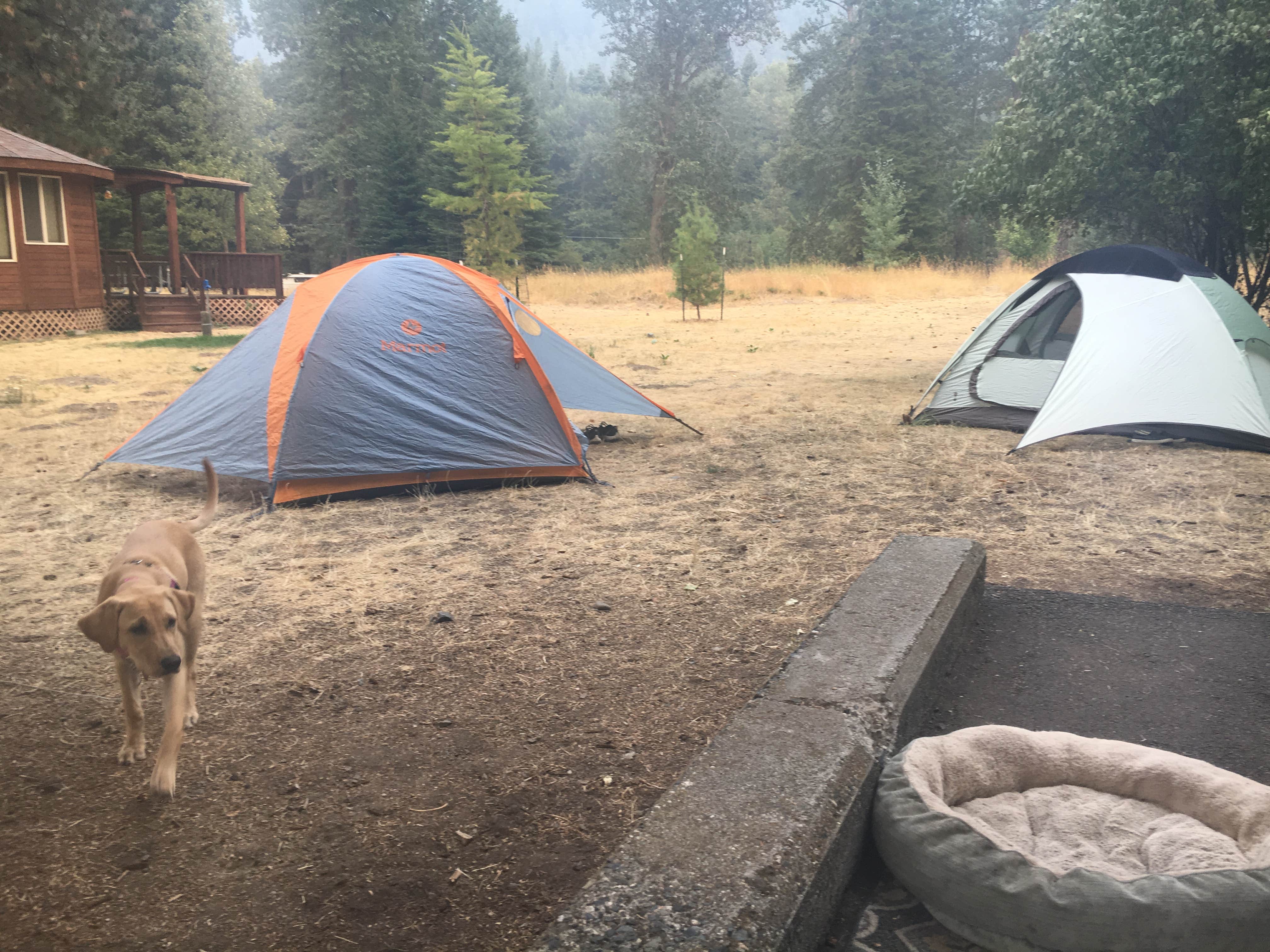 Heidi P.'s photo of camping with pets at Wallowa Lake State Park Campground near Wallowa-Whitman National Forest