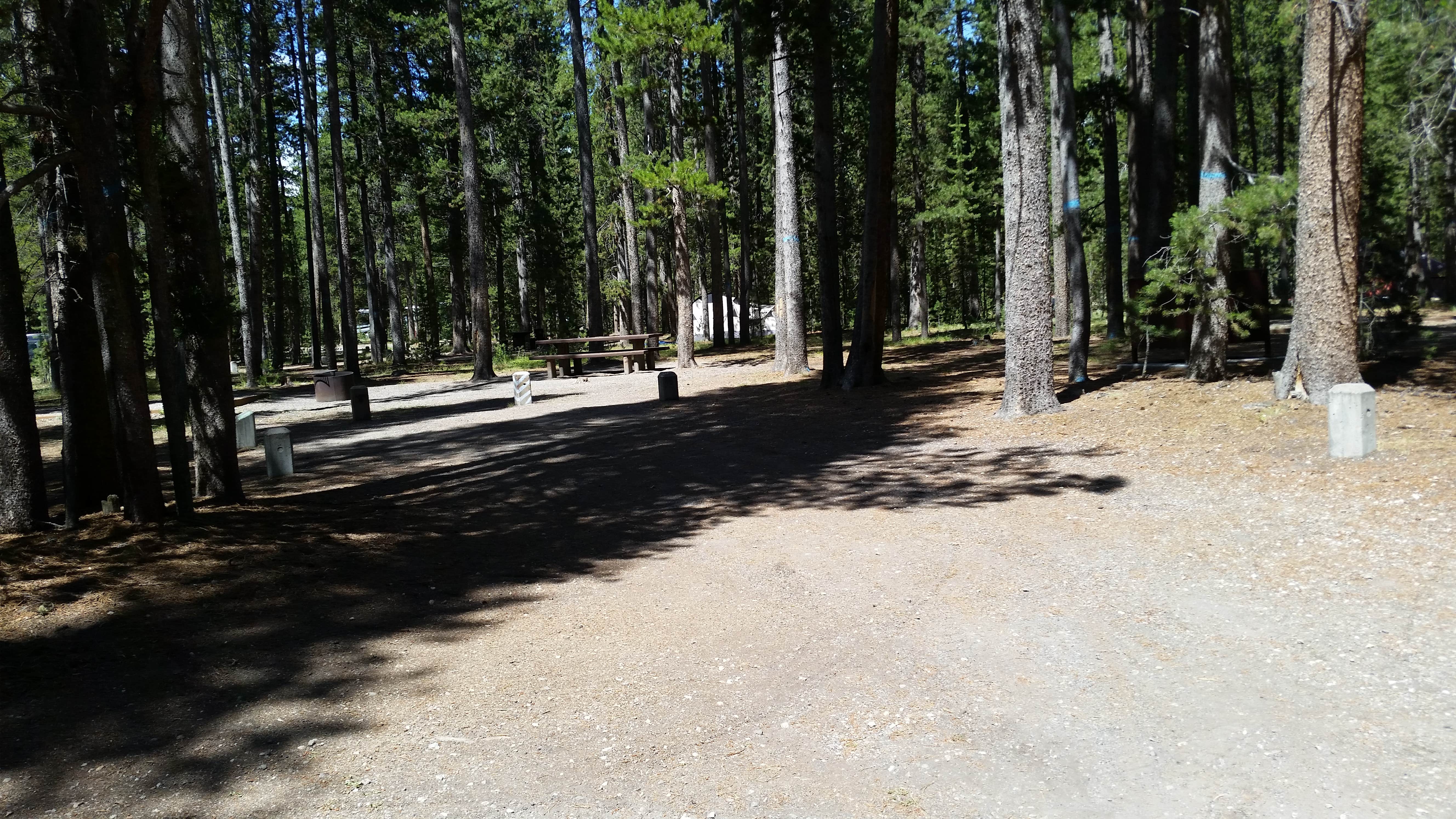 Camper-submitted photo at Rainbow Point Campground near Custer Gallatin National Forest