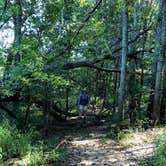 Review photo of Henry Horton State Park Campground by Amanda C., September 7, 2019