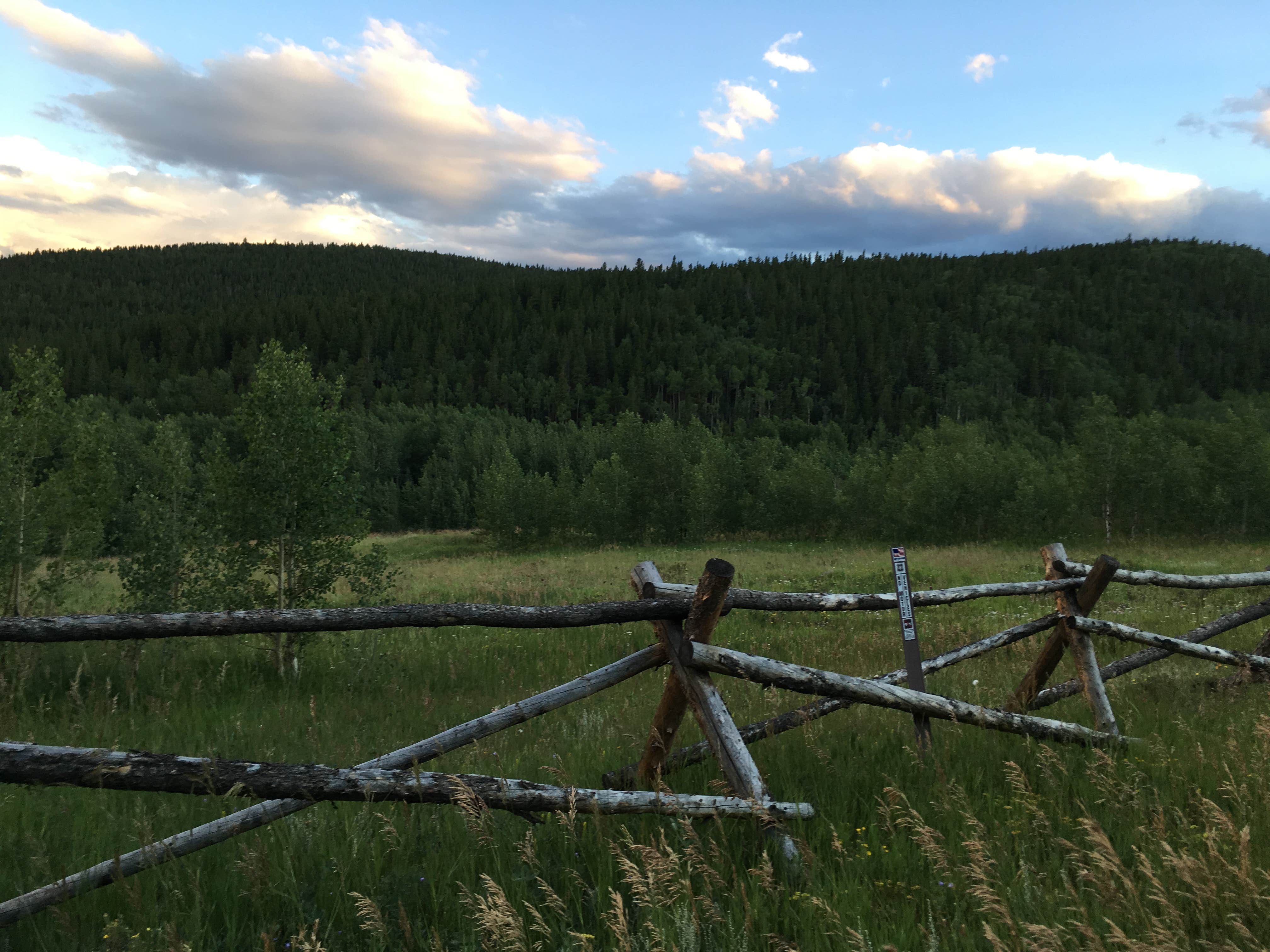 Camper submitted image from Columbine Campground - Outside of Denver - 5