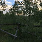 Review photo of Columbine Campground - Outside of Denver by Lori R., September 7, 2019