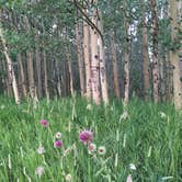 Review photo of Columbine Campground - Outside of Denver by Lori R., September 7, 2019