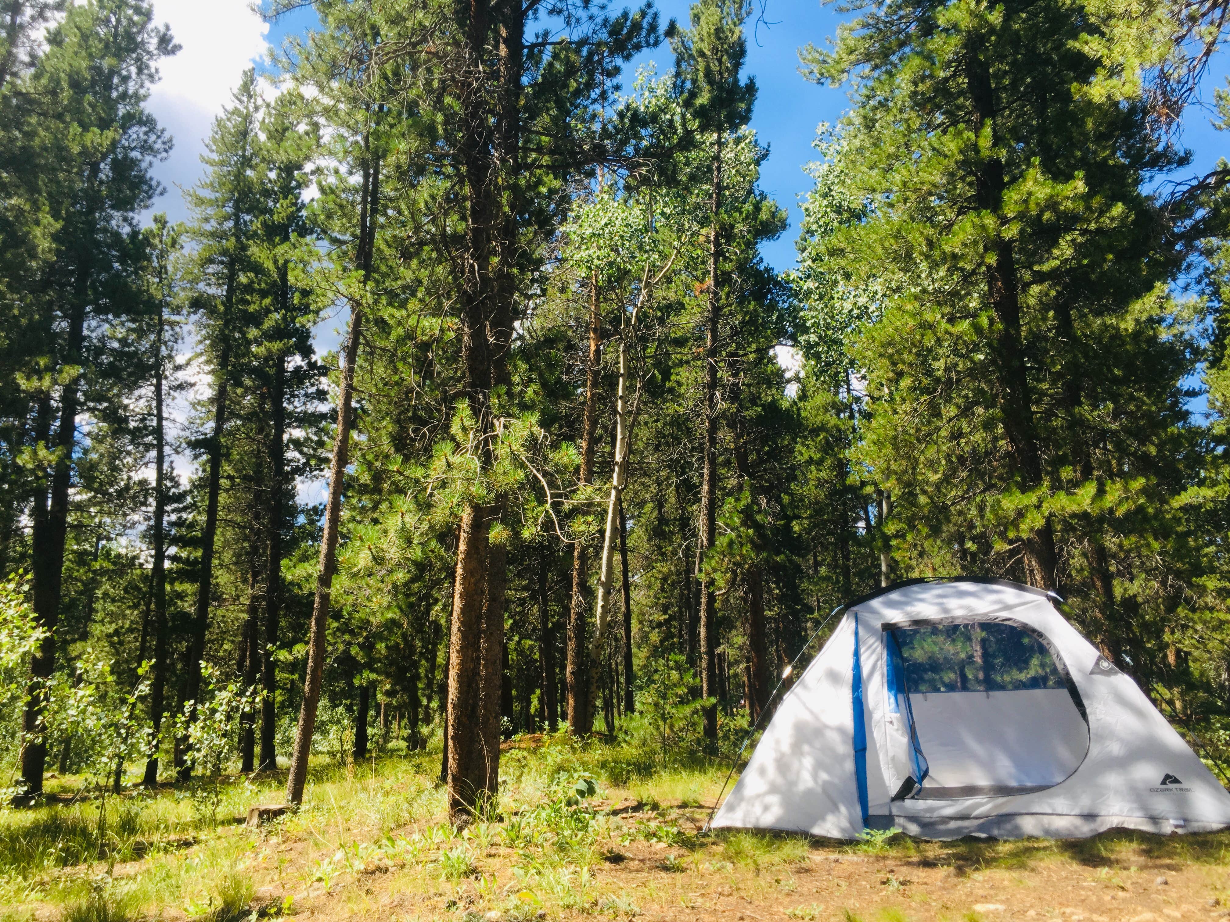 Camper submitted image from Columbine Campground - Outside of Denver - 5