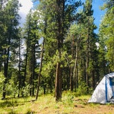 Review photo of Columbine Campground by Lori R., September 7, 2019