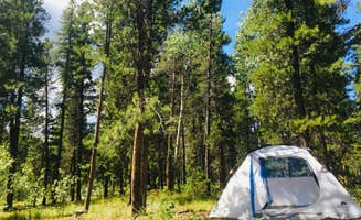 Lori R.'s photo at Columbine Campground - Outside of Denver near Idaho Springs, CO