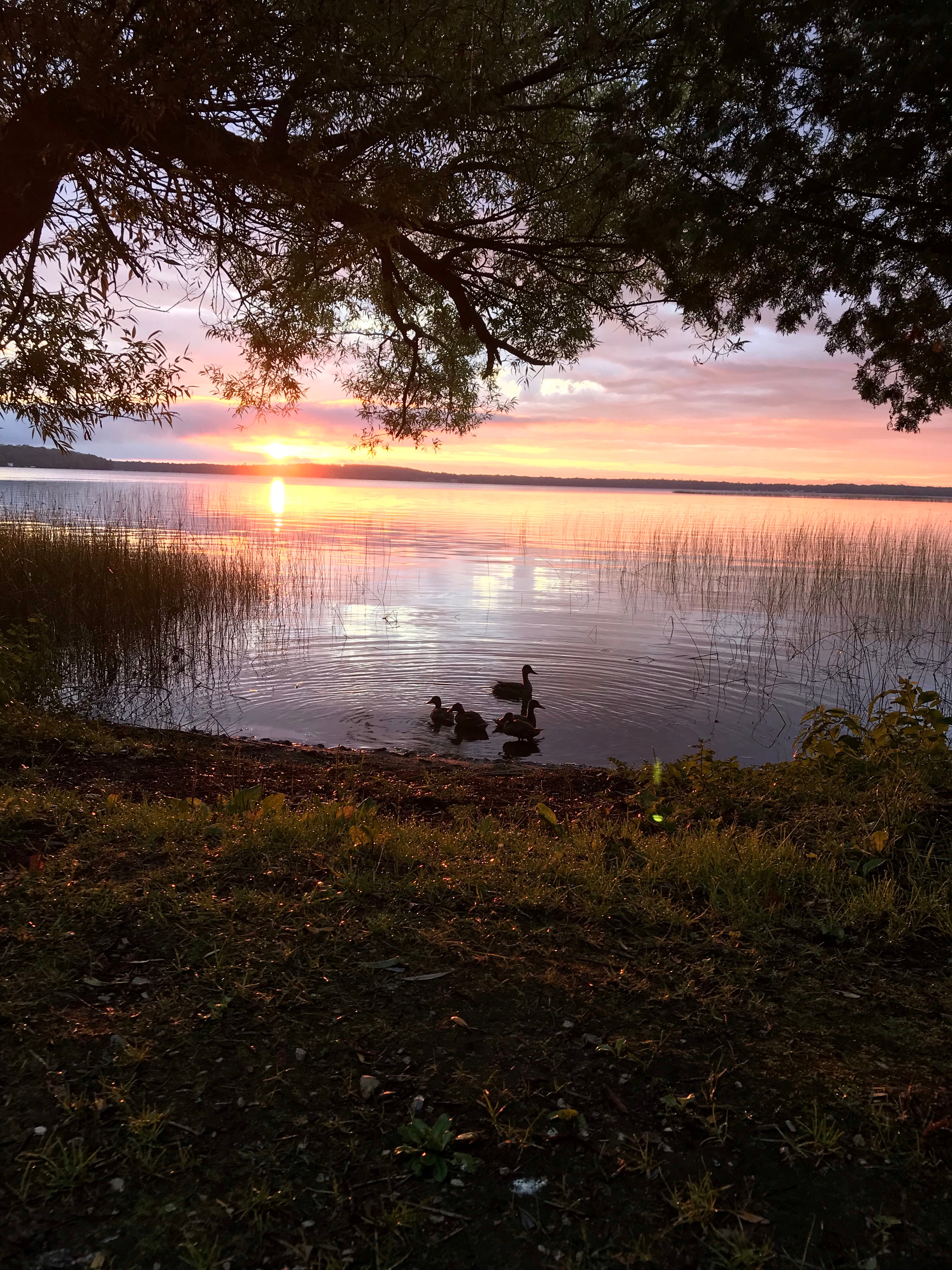Camper submitted image from South Manistique Lake State Forest Campground - 5