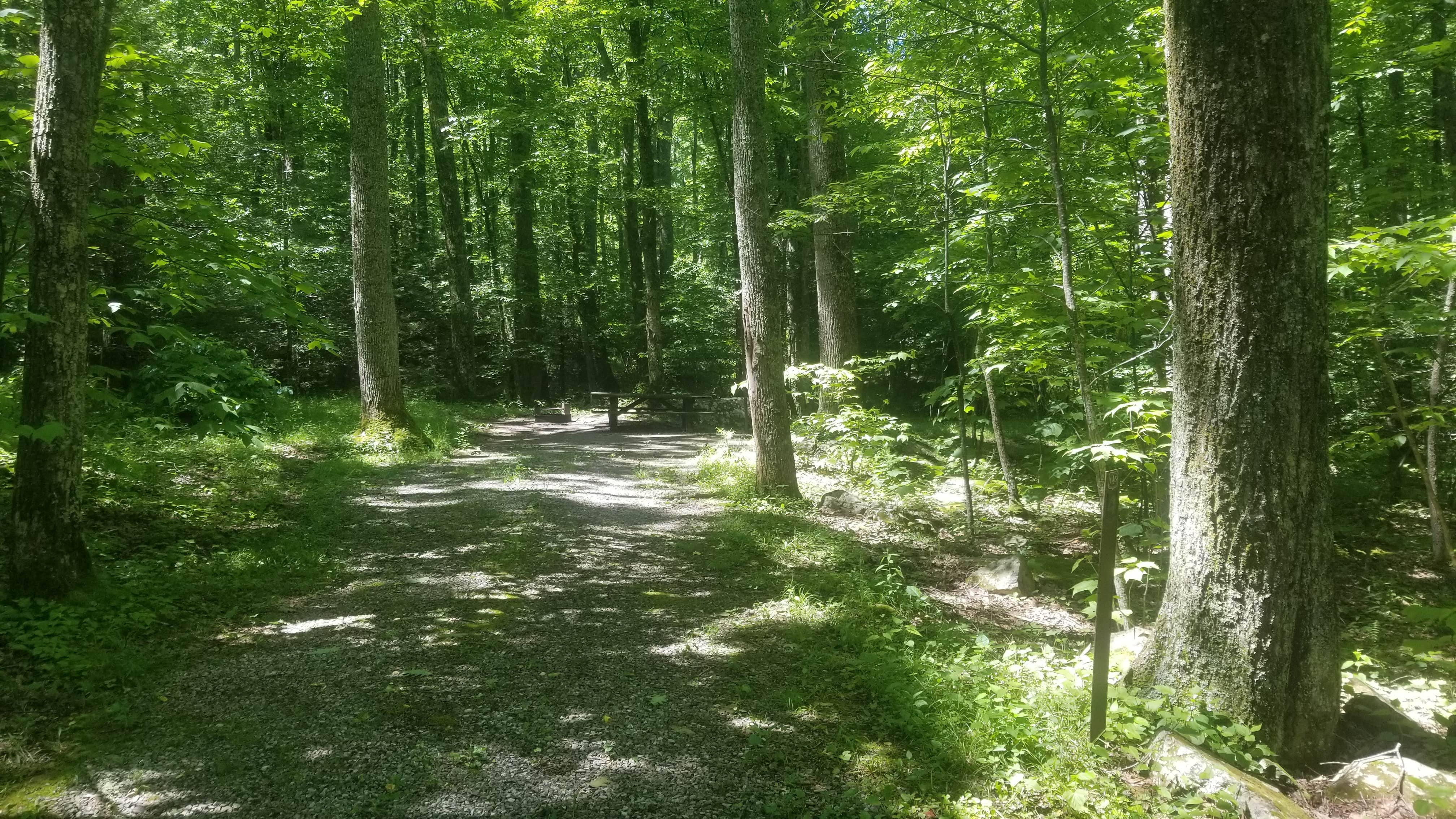 Camper-submitted photo at White Rocks Campground near Paint Bank, VA