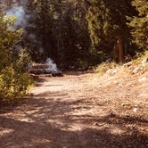 Review photo of Upper Lehman Creek Campground — Great Basin National Park by Yvonne T., September 7, 2019