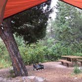 Review photo of Upper Lehman Creek Campground — Great Basin National Park by Yvonne T., September 7, 2019