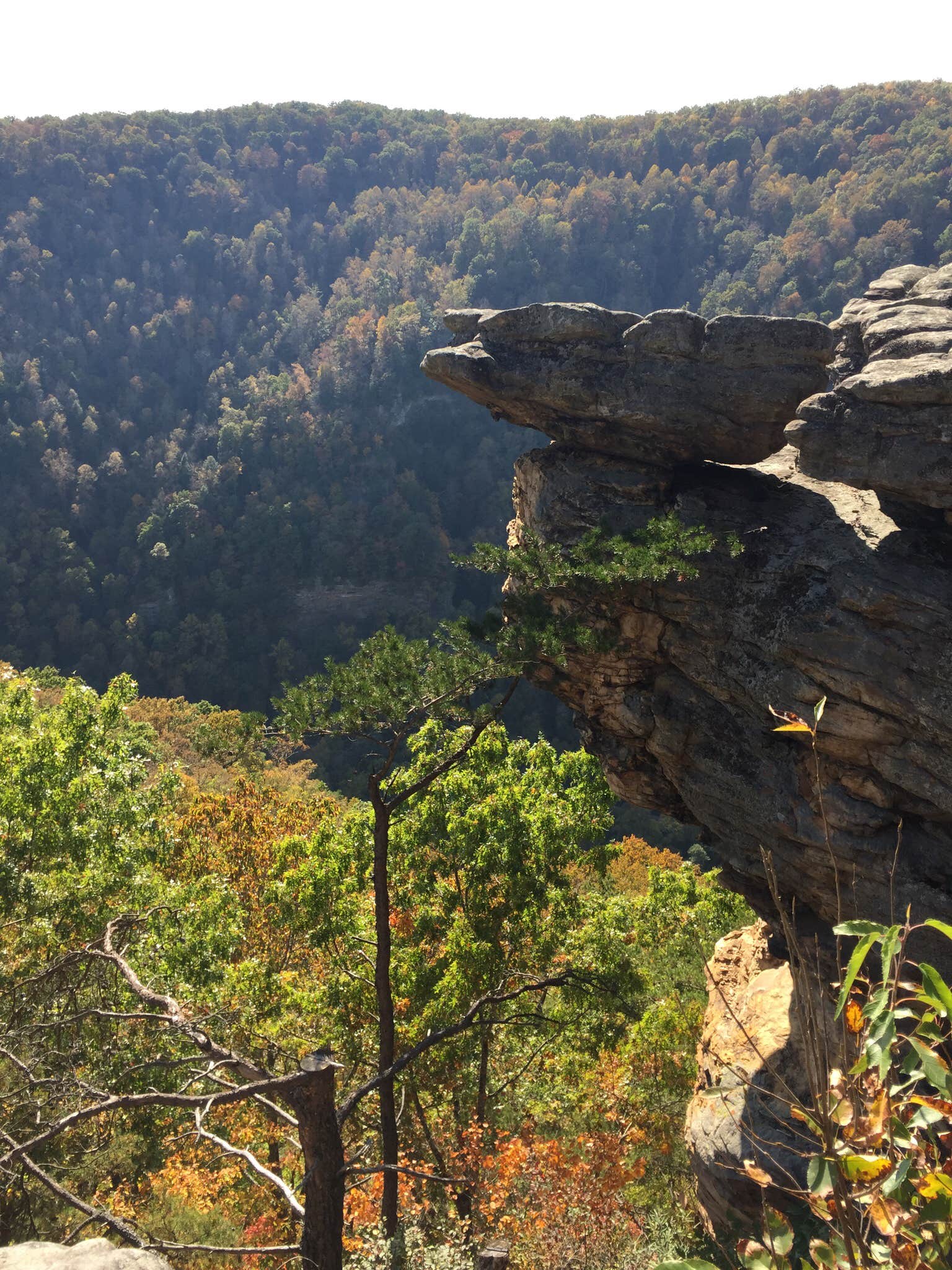Camper-submitted photo at Breaks Interstate Park Campground near Paintsville, KY