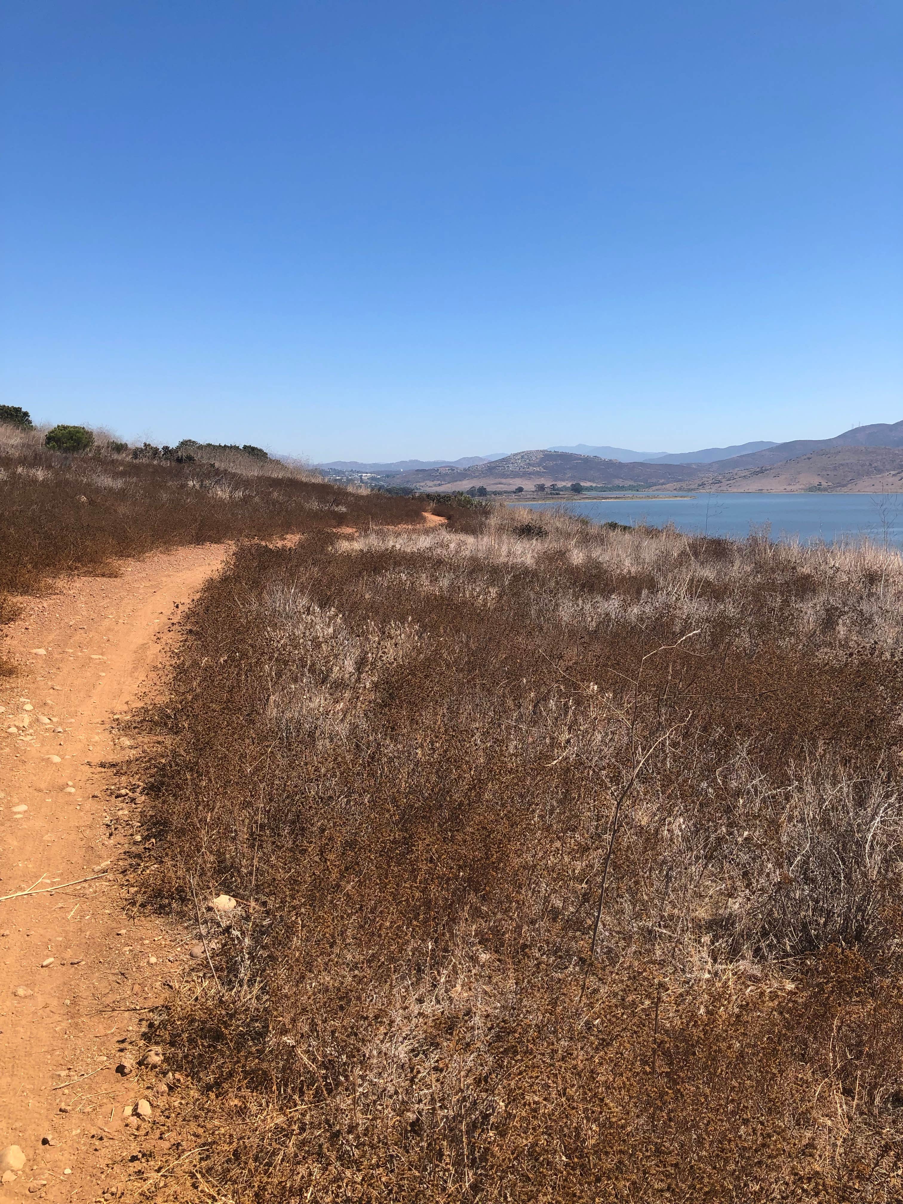 Camper-submitted photo at Sweetwater Summit Regional Park near Chula Vista, CA