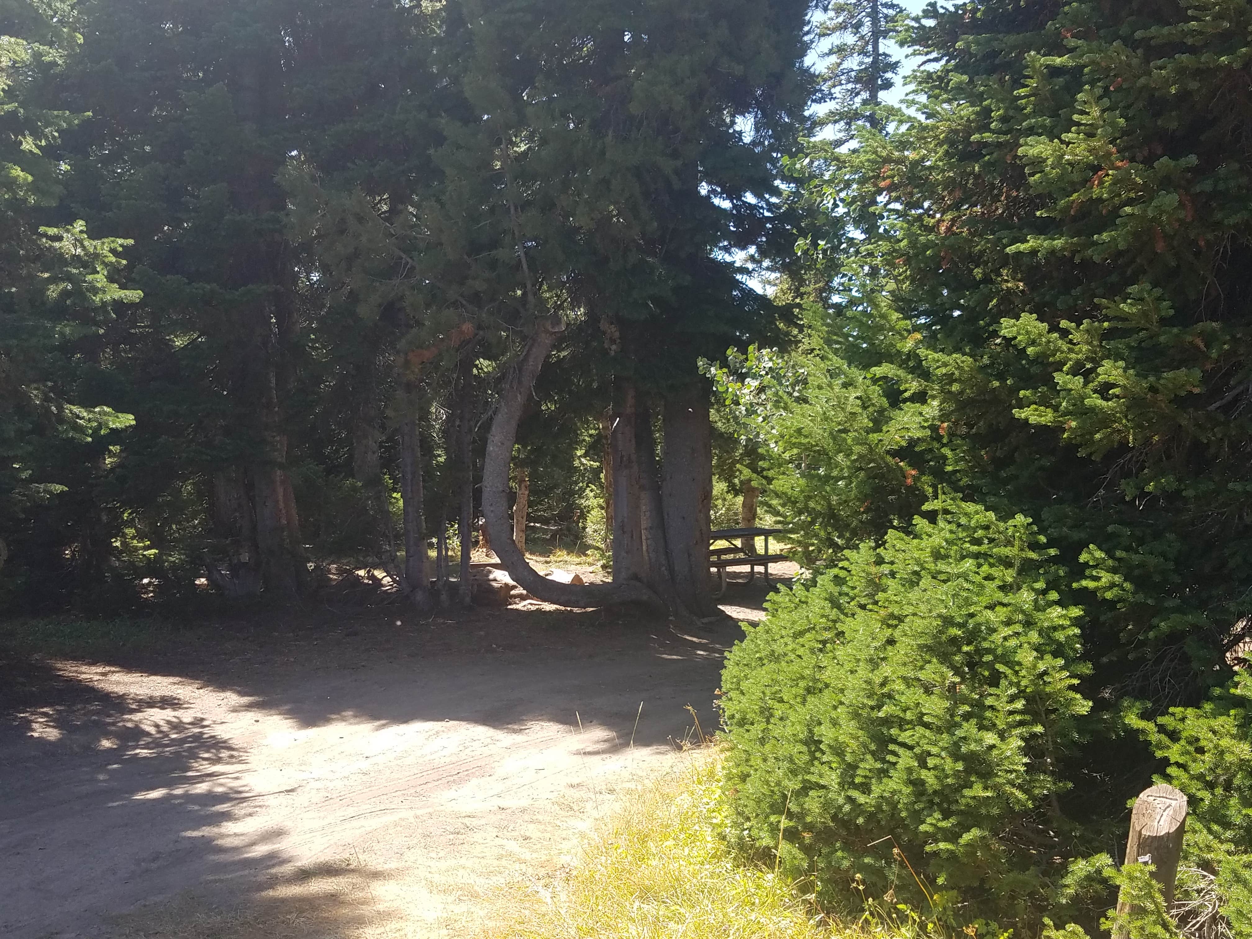 Camper submitted image from Twin Lakes Campground - 2