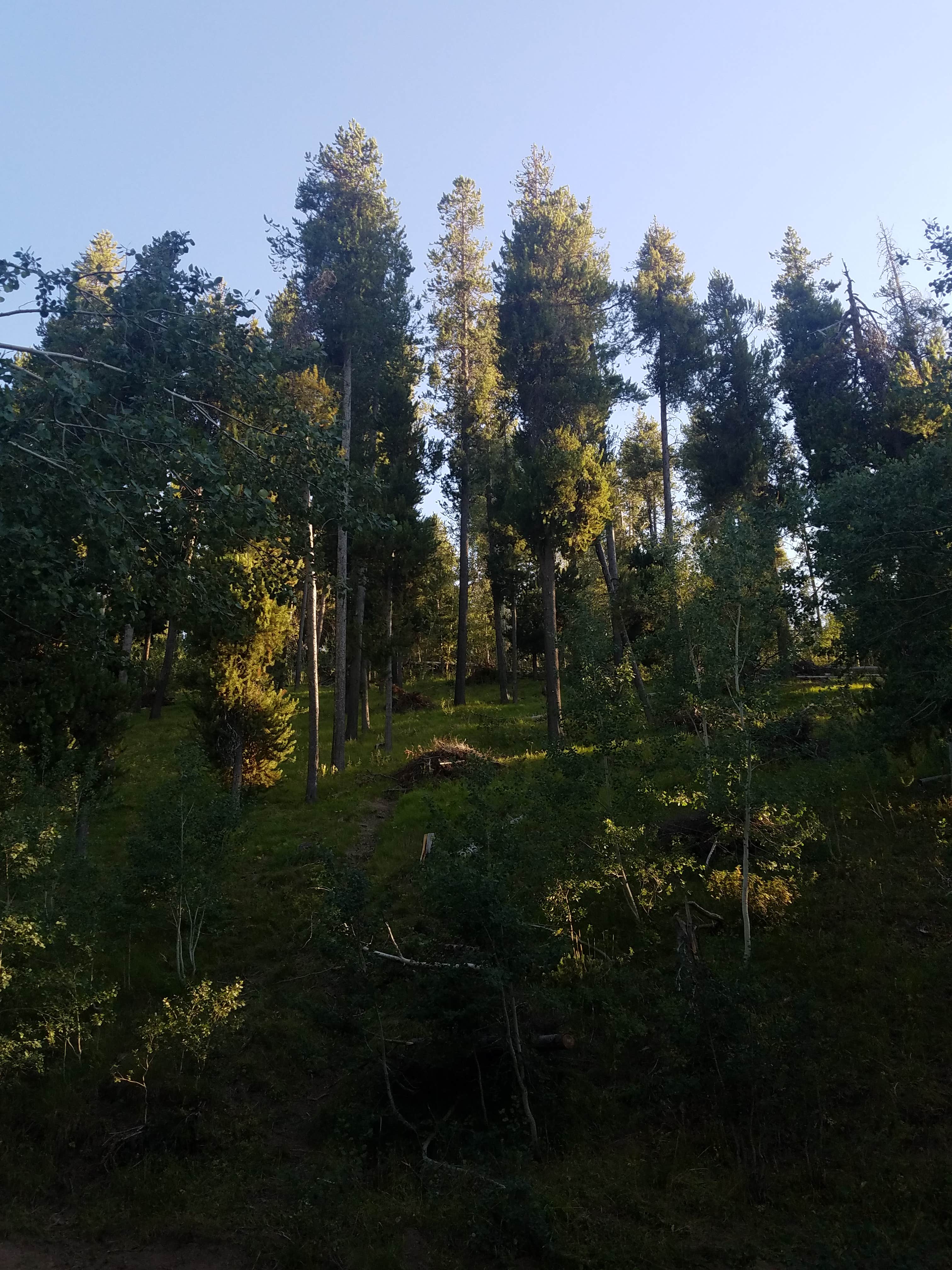 Camper-submitted photo at Wahlstrom Hollow (Dispersed) near Filer, ID