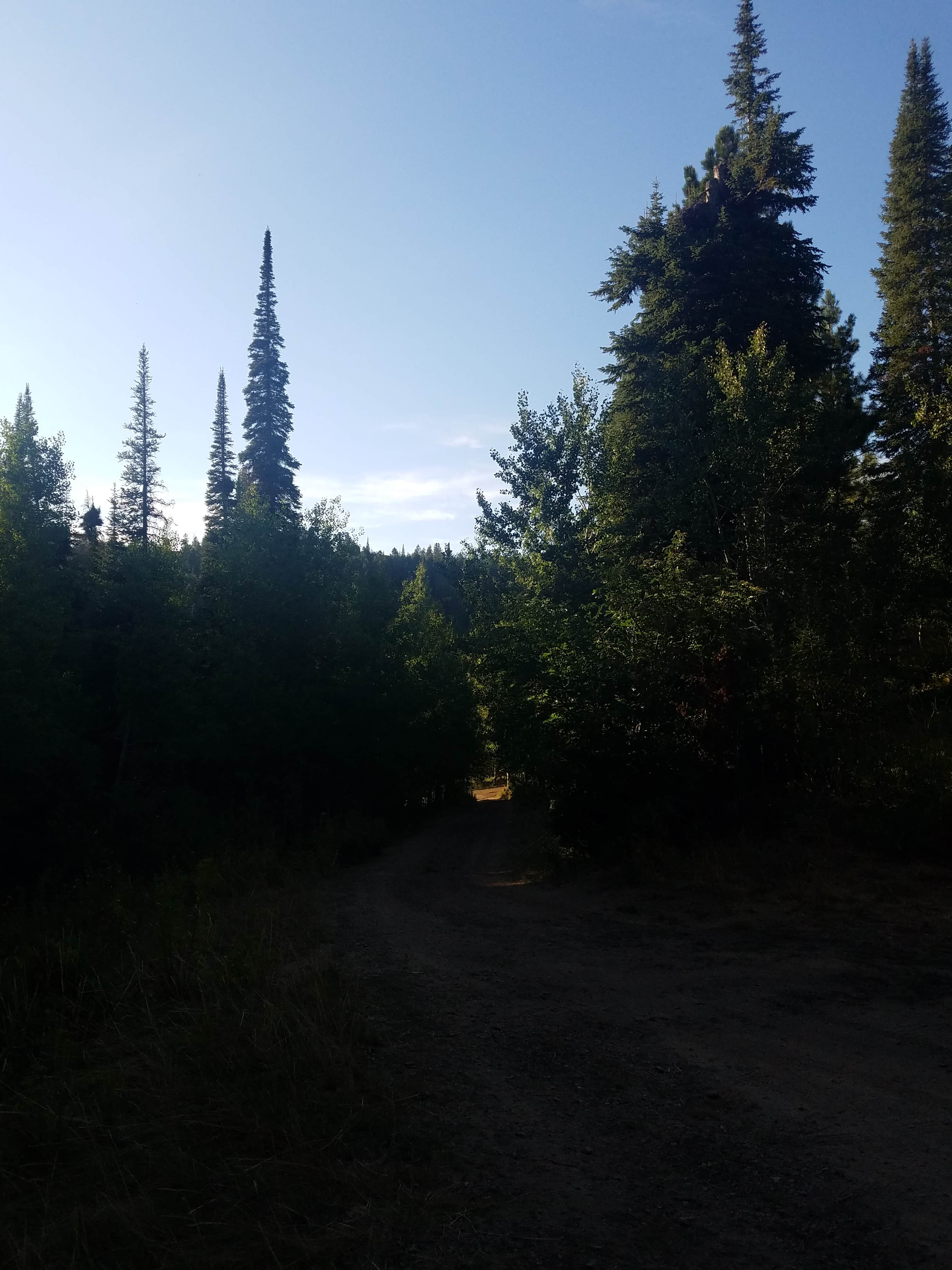 Camper-submitted photo at Wahlstrom Hollow (Dispersed) near Filer, ID