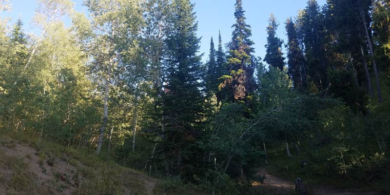 Camper submitted image from Wahlstrom Hollow (Dispersed)