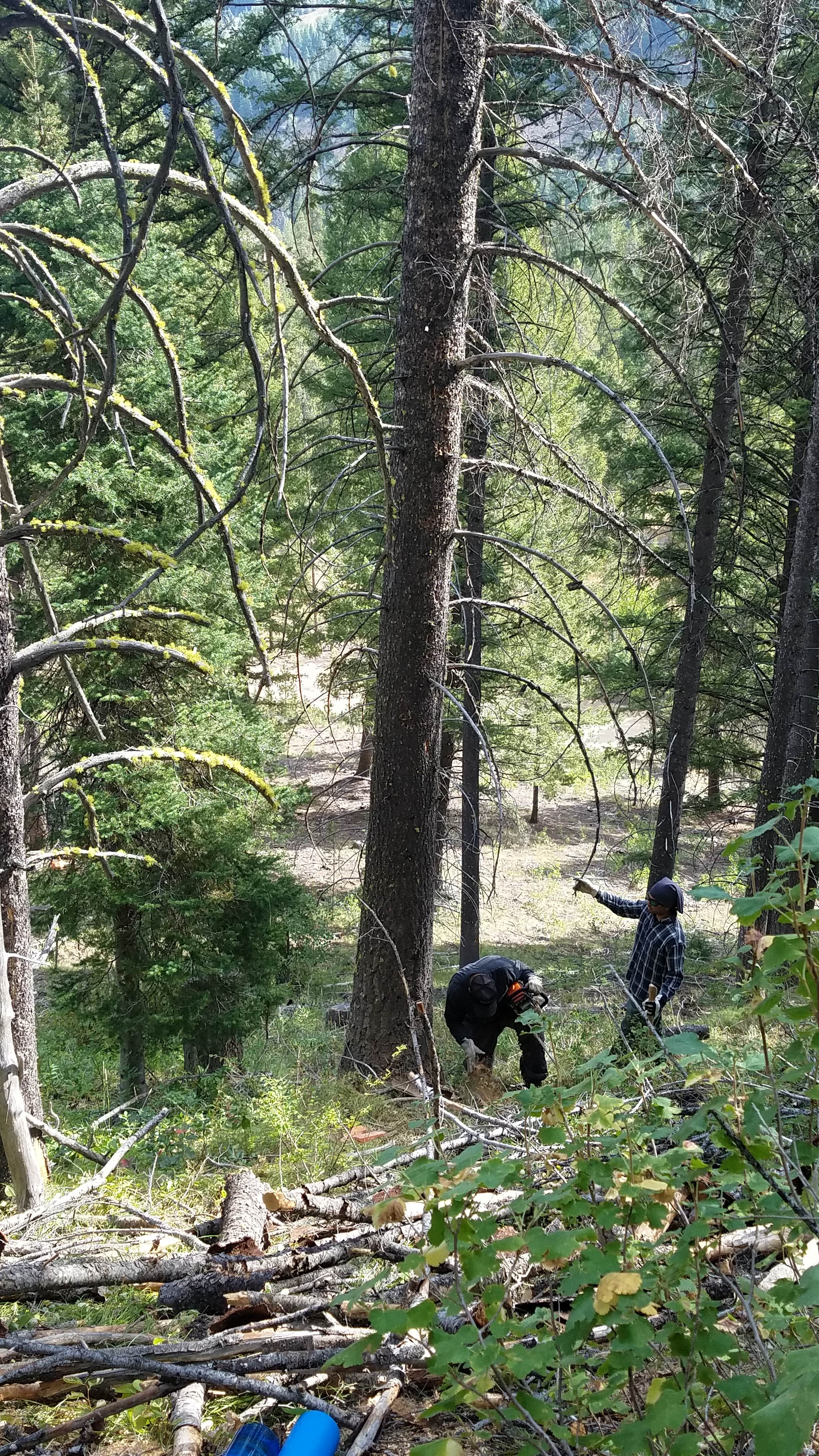 Camper submitted image from Bear Creek Dispersed Campground - 2