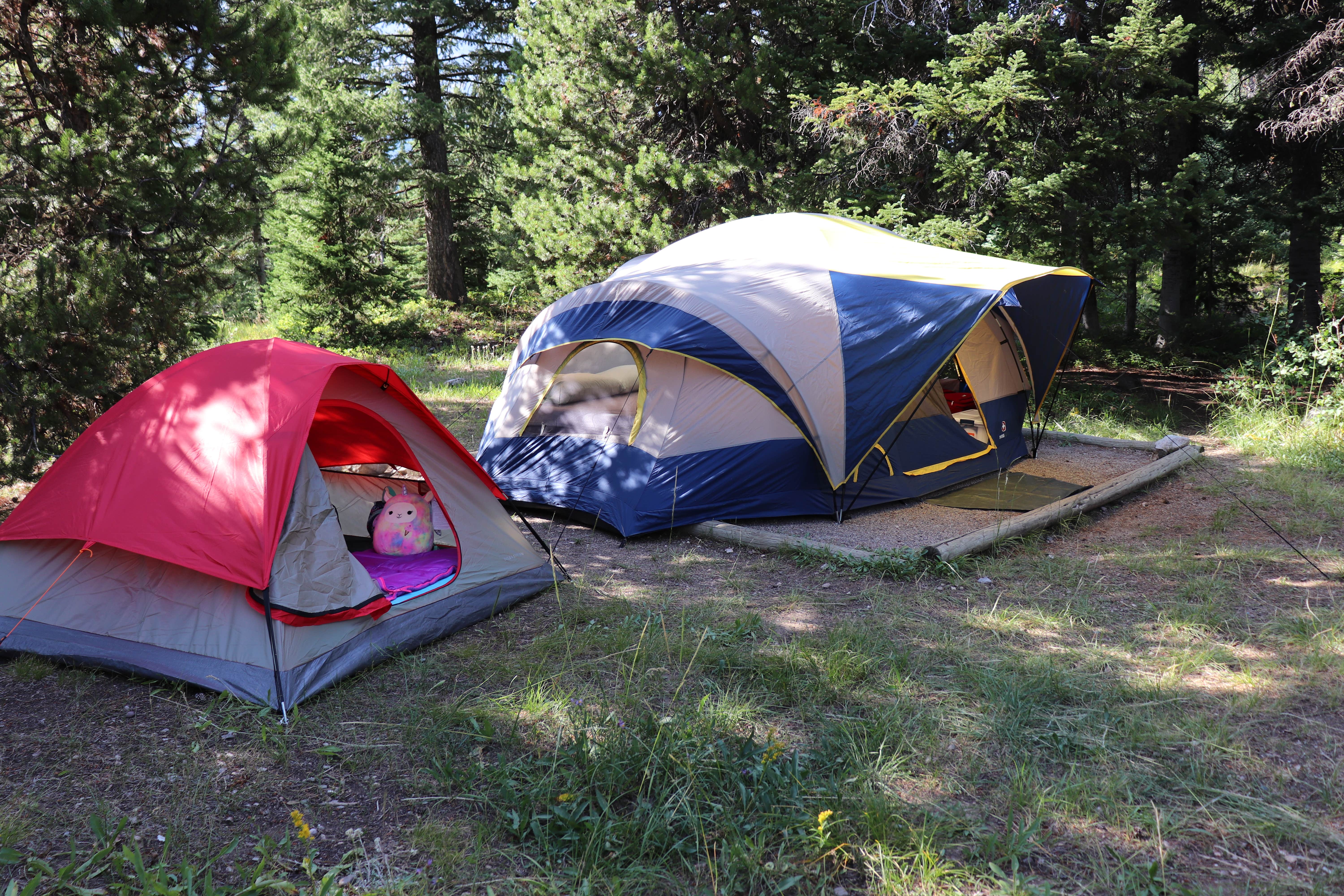 Christopher G.'s photo of tent camping at Jenny Lake Campground — Grand Teton National Park near Moran, WY