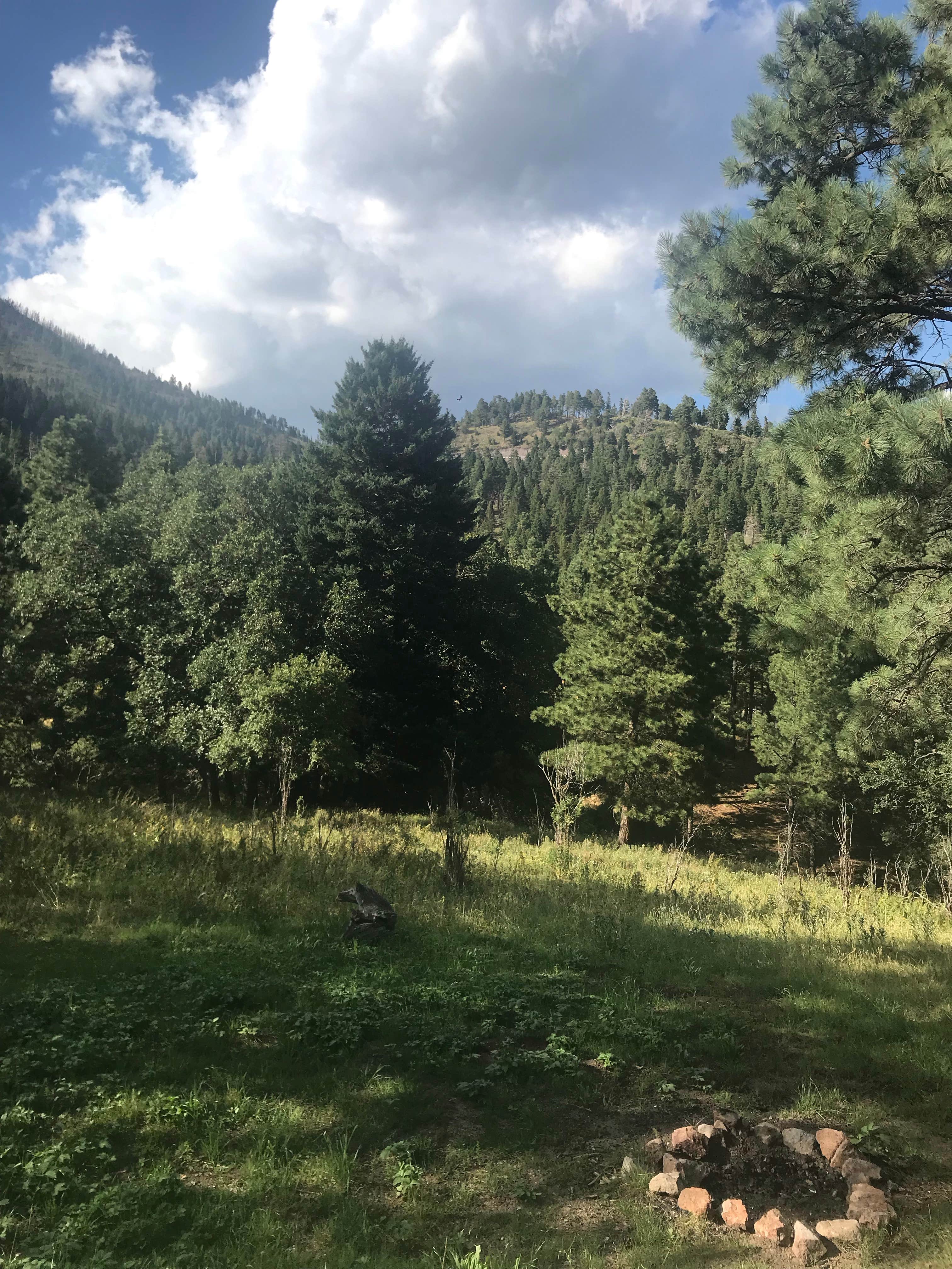 Camper-submitted photo at Eagle Creek RV Resort near Ruidoso, NM