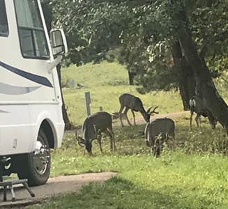 Camper-submitted photo from Eagle Creek RV Resort