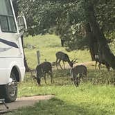Review photo of Eagle Creek RV Resort by Belinda  D., September 7, 2019