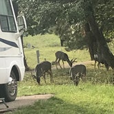 Review photo of Eagle Creek Campground & RV Park by Belinda  D., September 7, 2019