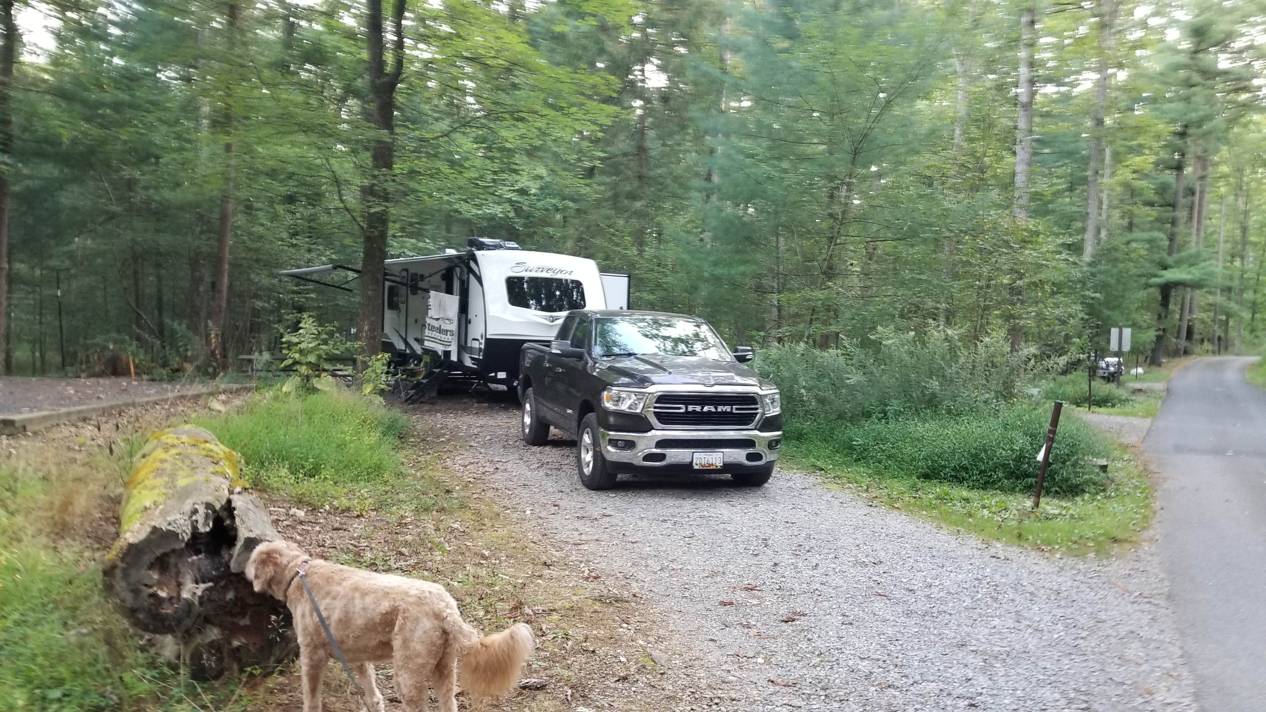 Joe H.'s photo of camping with pets at Pine Grove Furnace State Park Campground near Peach Glen, PA
