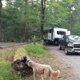 Review photo of Pine Grove Furnace State Park Campground by Joe H., September 7, 2019
