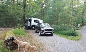 Joe H.'s photo of camping with pets at Pine Grove Furnace State Park Campground near Chambersburg, PA