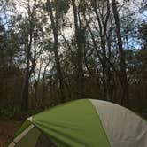 Review photo of Manatee Springs State Park Campground by Amelia W., September 8, 2019