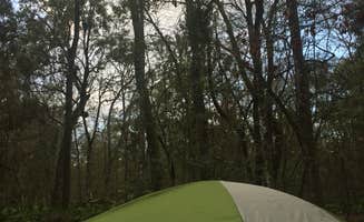 Amelia W.'s photo at Manatee Springs State Park Campground near Fanning Springs, FL