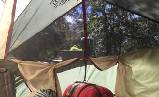 Amelia W.'s photo at Otter Springs Park & Campground near Bell, FL