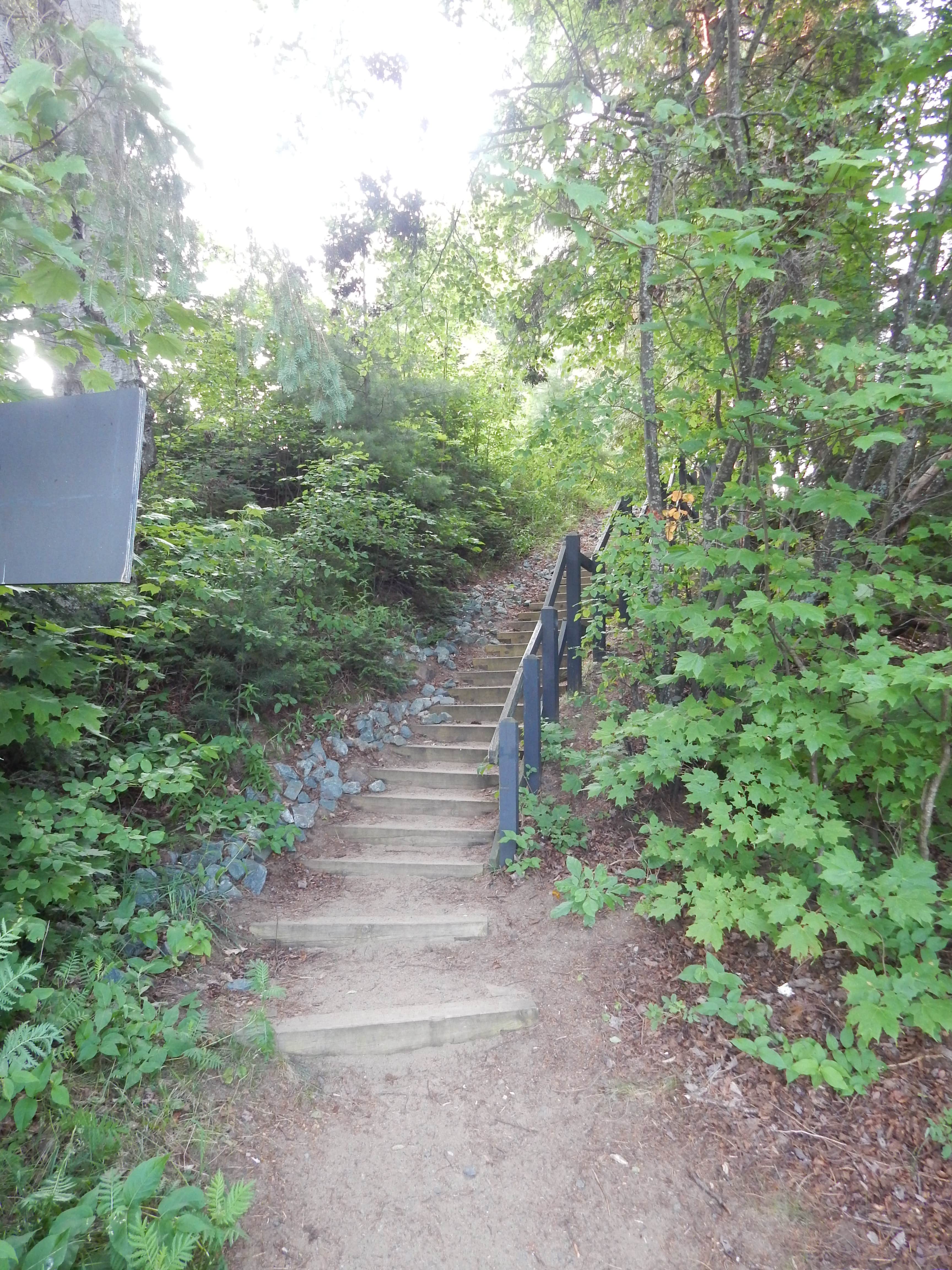 Camper submitted image from Van Riper State Park Campground - 3