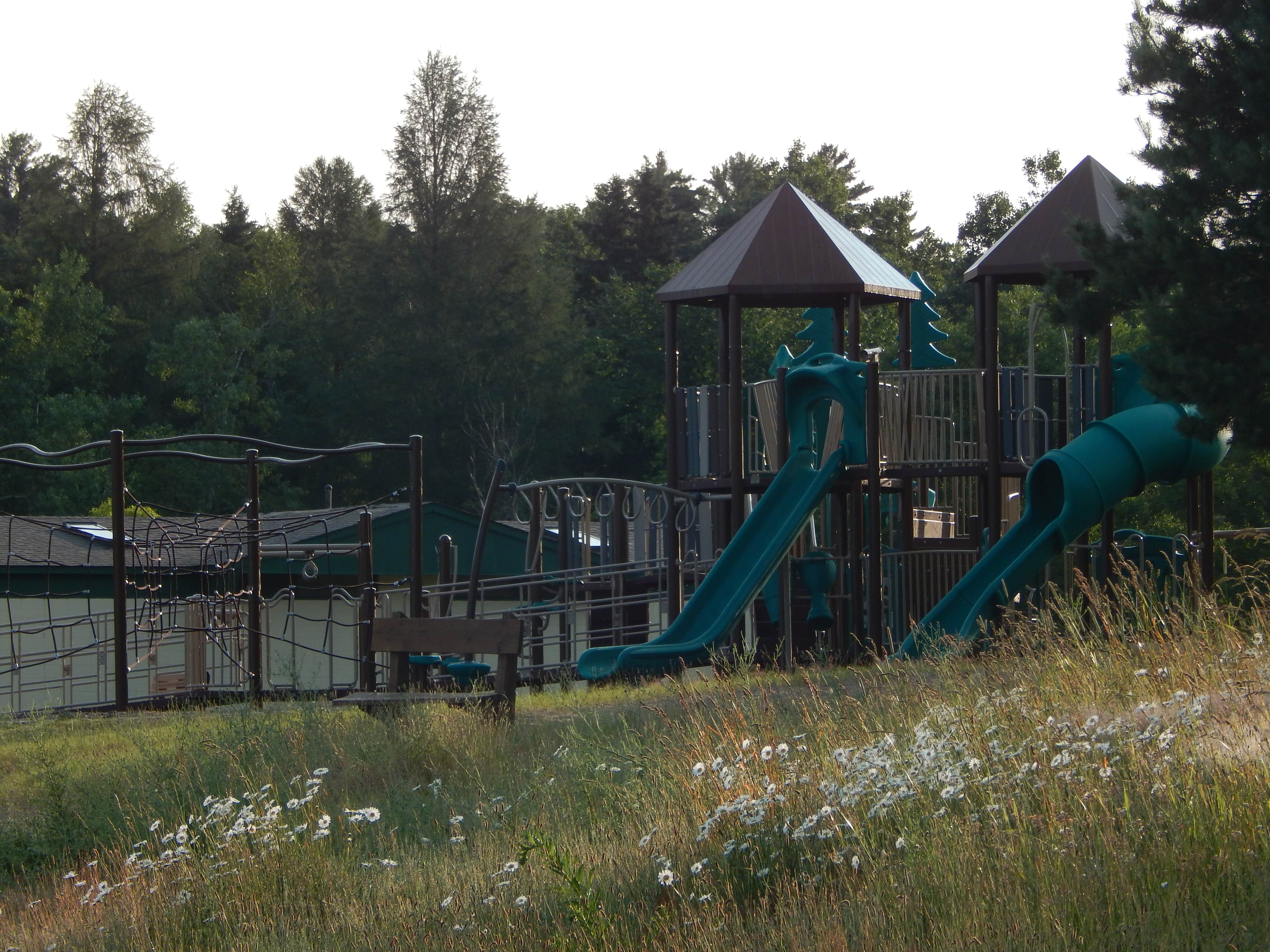 Camper submitted image from Van Riper State Park Campground - 5