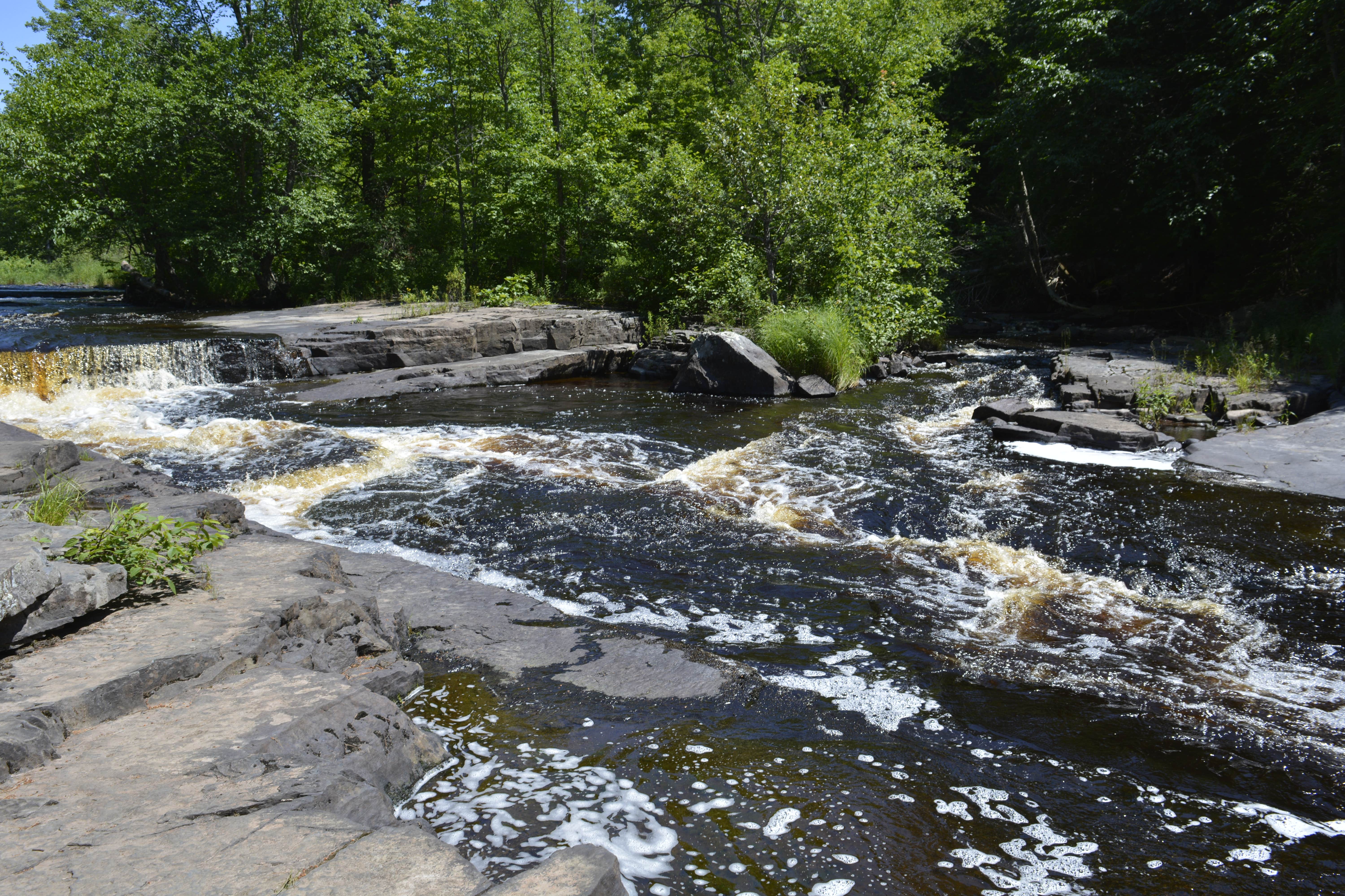 Camper-submitted photo at Van Riper State Park Campground near Big Bay, MI