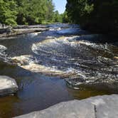 Review photo of Van Riper State Park Campground by Nona A., August 6, 2017